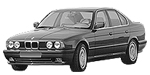 BMW E34 P1179 Fault Code